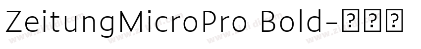 ZeitungMicroPro Bold字体转换